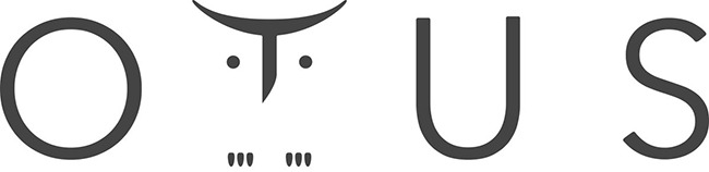 Otus получить it профессию
